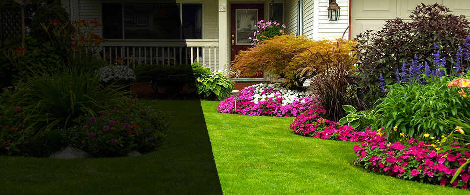 Osceola Landscapers