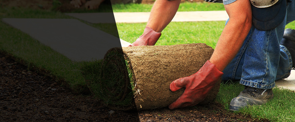 Osceola Landscapers